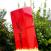 462023 RED INGOT